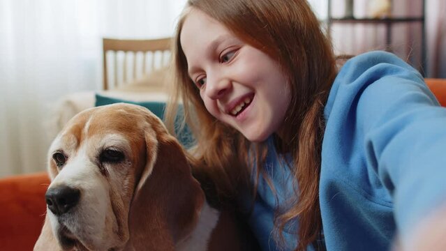 POV of cheerful young girl child with cute beagle dog and taking selfie sitting on sofa in living room. Happy girl preteen pet lover spending leisure time with dog in apartment room during weekend