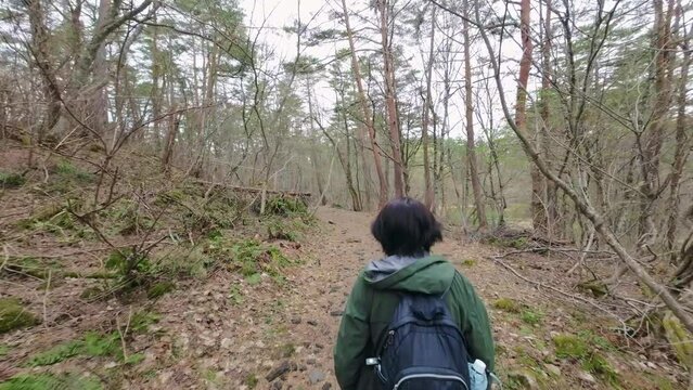森の中を歩く女性の後ろ姿