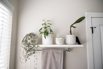 interior of a modern bathroom with plants on shelf