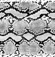 Snake skin pattern and repeating Seamless. Animal print and textile design. illustration. Texture...