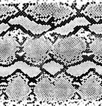 Snake skin pattern and repeating Seamless. Animal print and textile design. illustration. Texture snake. Fashionable print.
