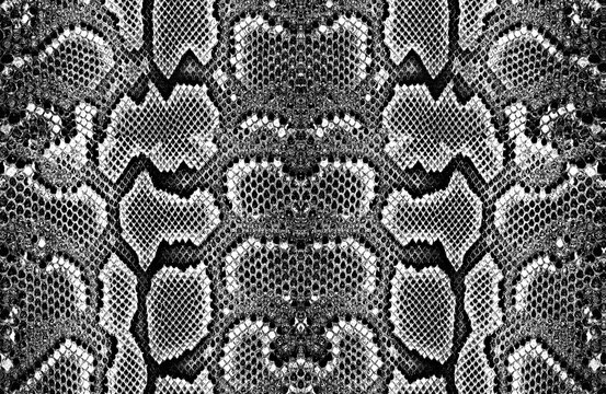 Snake skin pattern and repeating Seamless. Animal print and textile design. illustration. Texture snake. Fashionable print.
