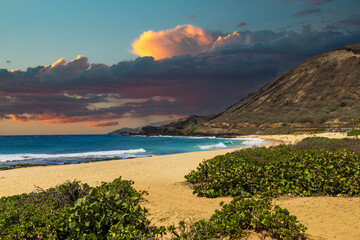 a beautiful spring landscape at Sandy Beach with blue ocean water, silky brown sand, people relaxing, palm trees and majestic mountain ranges in Honolulu Hawaii USA