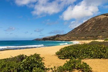 Fotobehang a beautiful spring landscape at Sandy Beach with blue ocean water, silky brown sand, people relaxing, palm trees and majestic mountain ranges in Honolulu Hawaii USA © Marcus Jones