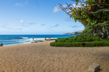 a beautiful spring landscape at Sandy Beach with blue ocean water, silky brown sand, people relaxing, palm trees in Honolulu Hawaii USA