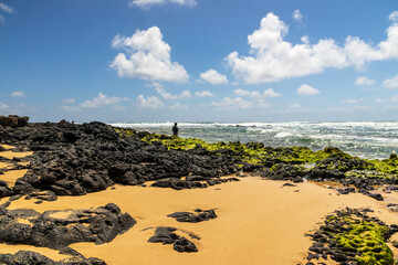 a beautiful spring landscape at Sandy Beach with blue ocean water, silky brown sand, rocks covered in green algae, palm trees and plants crashing waves, blue sky and clouds in Honolulu Hawaii USA