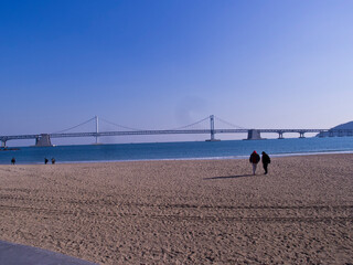 people on the beach