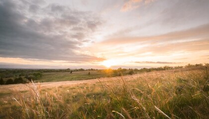 sunset in the field