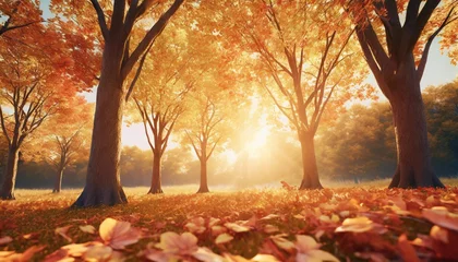 Fototapete Rund autumn background yellow red orange leaves and trees during autumn season with warm sunlight beautiful nature scene 3d render © Jayla