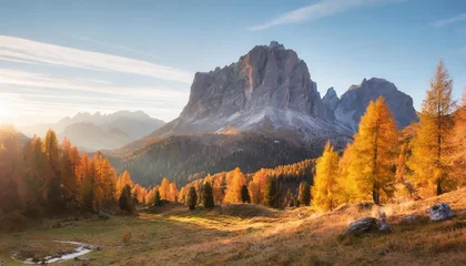 Deurstickers gorgeous sunny view of dolomite alps with yellow larch trees colorful autumn scene of ponta dei lastoi mountain range giau pass location italy europe beauty of nature concept background © Jayla