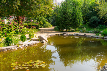 Japanese garden. Decorative pond with lily pads