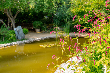 A blooming persicaria orientalis on the shore of a Japanese pond in a summer garden