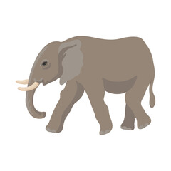 vector drawing elephant, cartoon animal isolated at white background, hand drawn illustration - 775521770