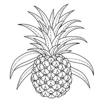 Juicy pineapple outline icon in vector format for tropical designs.