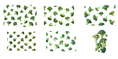  broccoli on blue background,