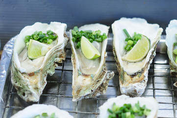 Fresh Oysters with Lime and Spring Onion