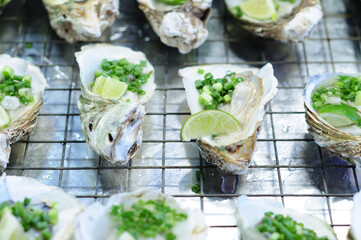 Fresh Oysters with Lime and Spring Onion