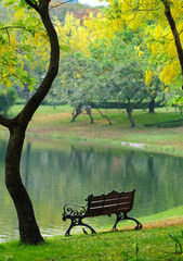 An Empty Bench in a Quiet Park