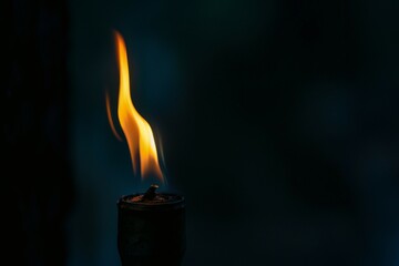 It's a blazing flame, a fire. generative ai