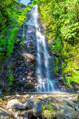 waterfall in the forest
