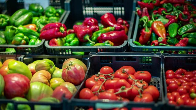 a vegetable shelf in the local market, tomatoes of various types, peppers, local agriculture, health lifestyle, vegetarian food