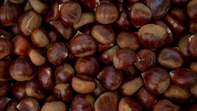chestnuts top view, snack, nut season