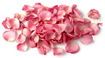 Delicate Pink Rose Petals Scattered on White Background - Floral Still Life Photography