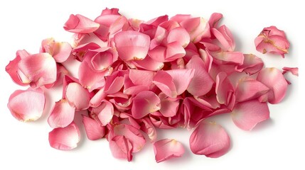Fototapeta premium Delicate Pink Rose Petals Scattered on White Background - Floral Still Life Photography