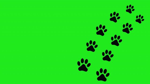 Dog walking paw print animation video, Footprints walking animal on green screen 4K Resolution