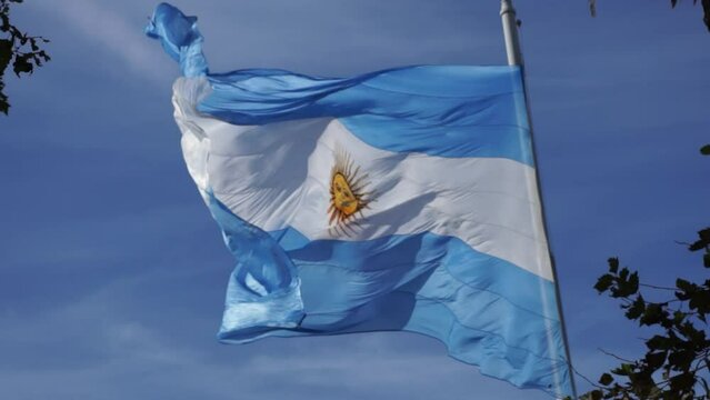 Argentine flag waving in the wind