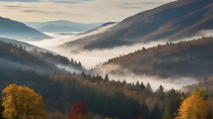 Foto op Canvas Autumn fog fills the valley between the peaks and the forest in the highlands. © Malik