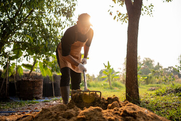 Farmer working on field with rice husk on the floor for sun dried For mixed Organic fertilizer agriculture sustainability - obrazy, fototapety, plakaty