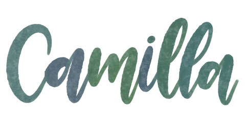 Camilla brush lettering calligraphy typography