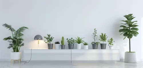 Foto op Canvas A sleek and modern TV cabinet with glossy white finish, adorned with a variety of plants in pots and a minimalist lamp, against a white wall background © rai stone