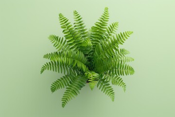 Green fern leaves on green background