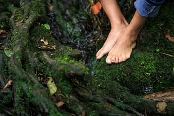 walking in the forest
