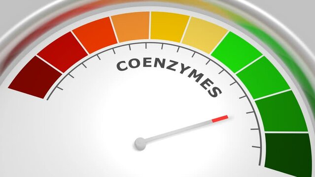 Coenzymes level on measure scale. Instrument scale with arrow. Infographic element. A cofactor is a non-protein chemical compound or metallic ion that is required for an enzyme's role as a catalyst