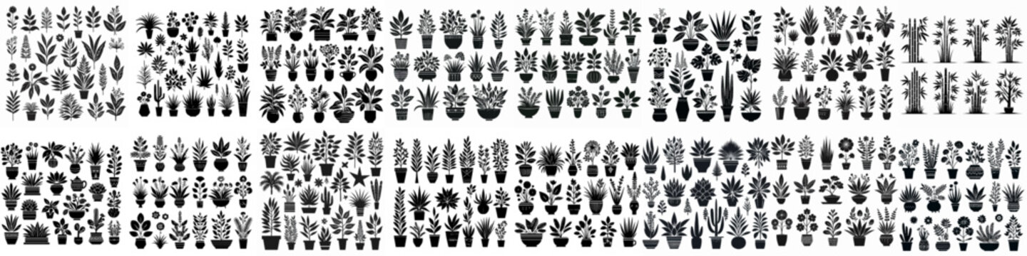 vector set of ornamental plant silhouette