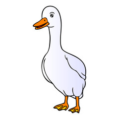 duck vector illustration