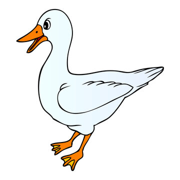 goose vector illustration