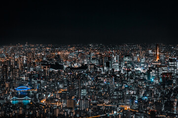 Fototapeta na wymiar The great city of Asia, Tokyo!