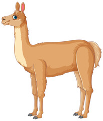 A stylized vector image of a single llama