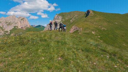 Hikers stand on a grassy hill dotted with yellow and purple flowers against a backdrop of a steep bluff and rocky mountain peak.