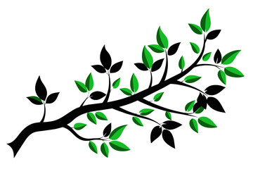 Capture the beauty of nature with this exquisite vector illustration of a tree branch silhouette adorned with lush green leaves against a pristine white background.
