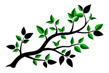 Obraz premium Capture the beauty of nature with this exquisite vector illustration of a tree branch silhouette adorned with lush green leaves against a pristine white background.