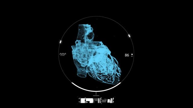 3D animation of a beating human heart analysis in x-ray, ultra sonogram