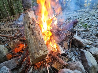 Flames of wood fire in the campground in stone fire pit in the forests of Washington State with a...