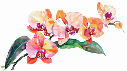 Orchid watercolor illustration Hand drawn tropical