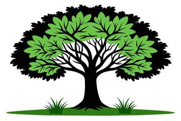 Fototapeta premium Elm tree vector design