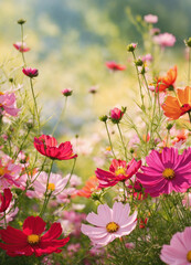 Obraz na płótnie Canvas A bunch of colorful flowers in garden
